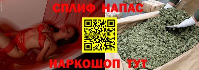 прущие грибы Апшеронск