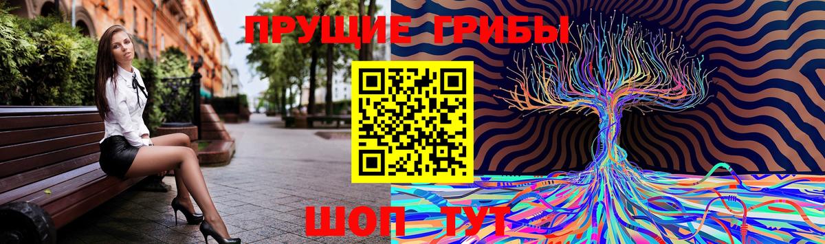 Галлюциногенные грибы прущие грибы Коммунар