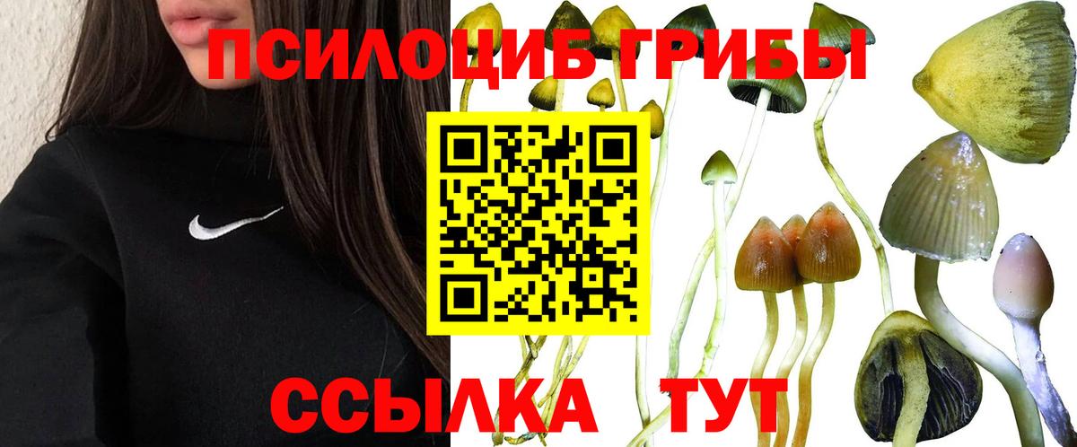 Меф  Вход с VPN  Коммунар  МЕФ   Гашиш  Кокаин  MDMA 