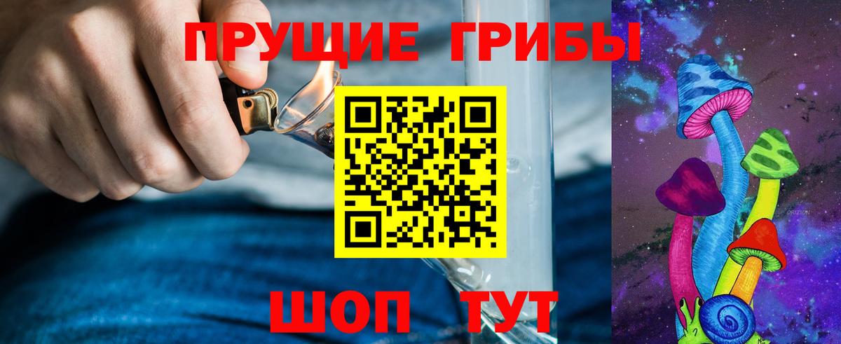 Псилоцибиновые грибы Psilocybe  Коммунар  Псилоцибиновые грибы GOLDEN TEACHER 